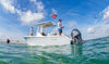 Stick It Sandbar Anchor Pins and Motor Mount System